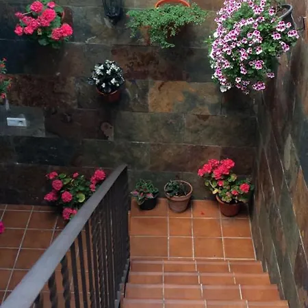 La Flor Apartamento