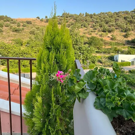 Apartamento La Flor
